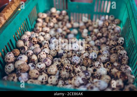 Closeup of raw quail eggs in plastic basket placed on counter in Zhubei Night Market Stock Photo