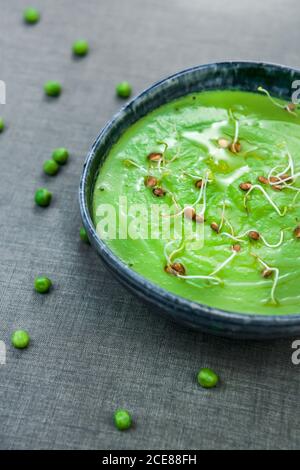 From above of bowl of freshly made puree of green peas topped with oil and sprouts Stock Photo