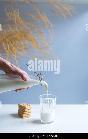 From above of crop anonymous person with transparent bottle pouring fresh milk into glass near pile of crunchy crackers on white table with decorative branch on blue background Stock Photo