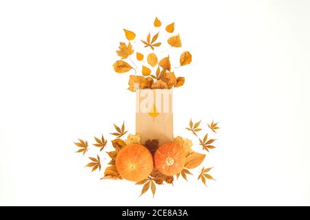 Autumnal composition. Fall leaves, pumpkins and craft paper on white. Autumn, thanksgiving day concept. Flat lay, top view. Stock Photo