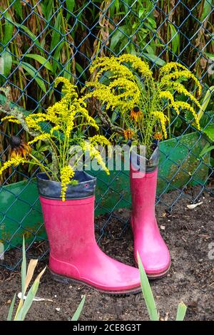 Boots with flowers in them Stock Photo - Alamy