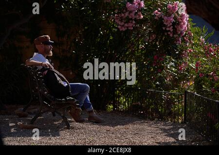 Side view of hipster male traveler in casual wear sitting on bench and admiring picturesque scenery in summer day Stock Photo