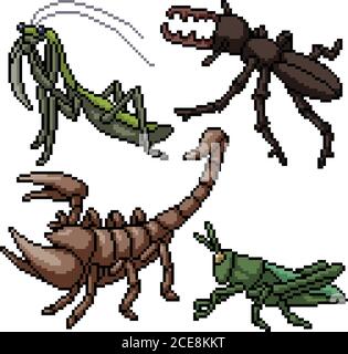 pixel art set isolated small insect Stock Vector