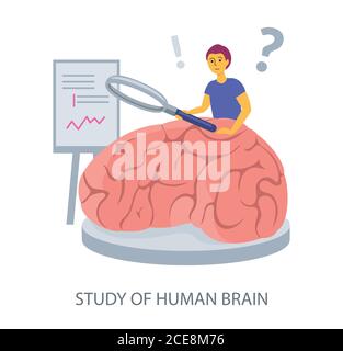 Study of Human Brain concept on white background, flat design vector illustration Stock Vector