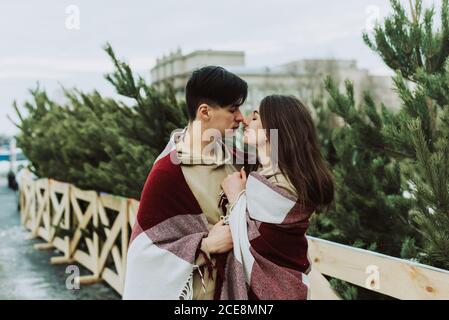 Beautiful young couple stand face to face among christmas tree. Young newlyweds in love, gently kissing, hugging, dressed in warm clothes, snow-covered city background, love story. Stock Photo