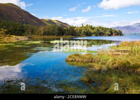 The head of Derwent Water near Grange in the Lake District. Stock Photo