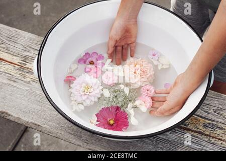 Child hands in white enamel bowl with garden flowers on old wooden bench. Pink roses, dahlia and cosmos floating in water. Spa, relaxation concept