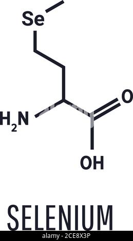 Selenomethionine is a naturally occurring selenium-containing amino acid. L-enantiomer, selenium. Vector illustration isolated on a white background Stock Vector