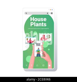 people taking care of houseplants mix race housekeepers discussing during video call in web browser windows smartphone screen portrait copy space vector illustration Stock Vector