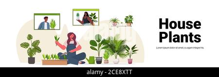 woman planting houseplants in pot housewife caring of her plants living room interior full length horizontal copy space vector illustration Stock Vector