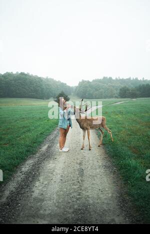 Content female traveler in summer clothes standing on sandy road and feeding male deer Stock Photo