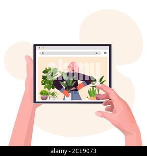 hands using digital device woman planting houseplants in pot on tablet screen horticulture concept portrait vector illustration Stock Vector