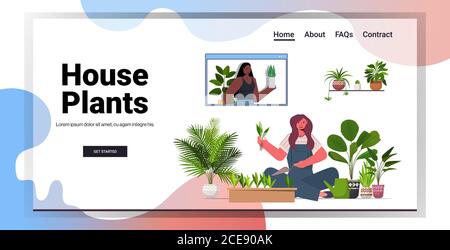 woman planting houseplants in pot housewife caring of her plants living room interior full length horizontal copy space vector illustration Stock Vector