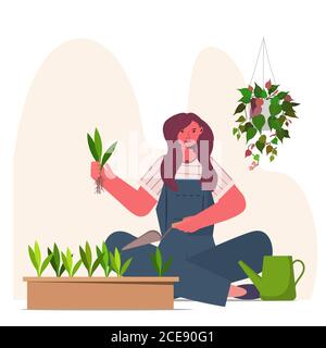 woman planting houseplants in pot housewife caring of her plants portrait vector illustration Stock Vector