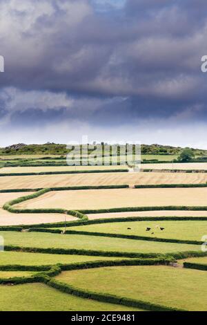 A patchwork of fields on Bodmin Moor in Cornwall. Stock Photo