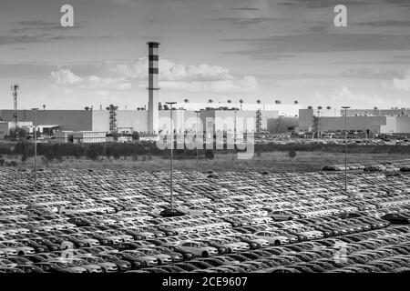 Volkswagen Group Rus, Russia, Kaluga - MAY 24, 2020: Rows of a new cars parked in a distribution center on a day and a car factory buildings. Parking Stock Photo