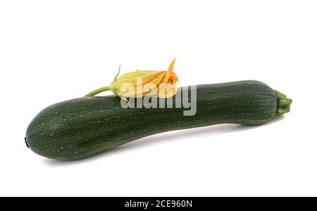 zucchini with flower  isolated on white background Stock Photo