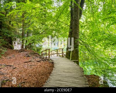 Wooden pathway path walkway trail National park Plitvice lakes in Croatia Europe forested preserved woodland scenic scenery trees Stock Photo