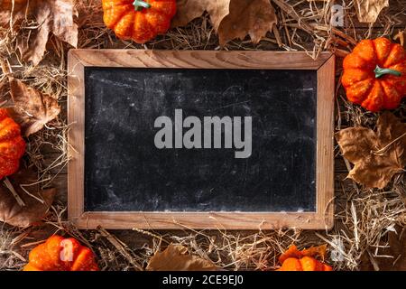 Autumn background with leaves, pumpkins  and blackboard on wooden background Stock Photo