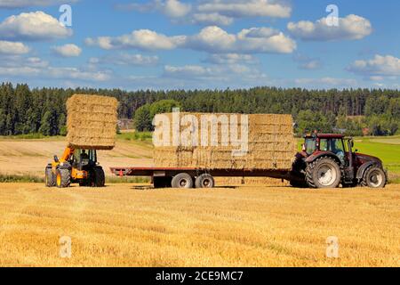 Stacking straw bales onto Valtra tractor pulled agricultural trailer with JCB T4 telehandler in stubble field. Salo, Finland. August 16, 2020. Stock Photo
