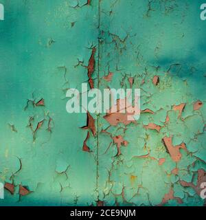 Multicolored Abstract background: Old rusty metalplate texture surface heavily aged and corroded with green paint flaking and cr Stock Photo