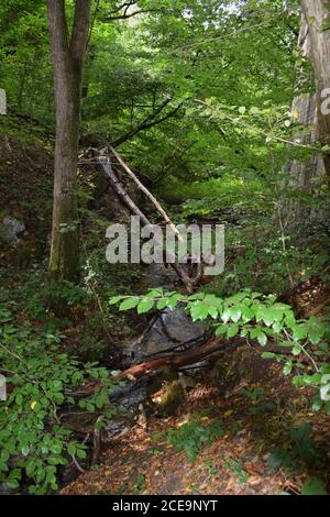 abandoned collapsed bridge Ummigsbachtalbrücke Stock Photo