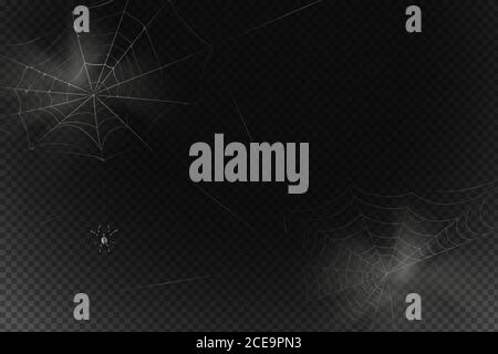 A black spider hangs on a web. Scary spiderweb of halloween symbol. Stock Vector