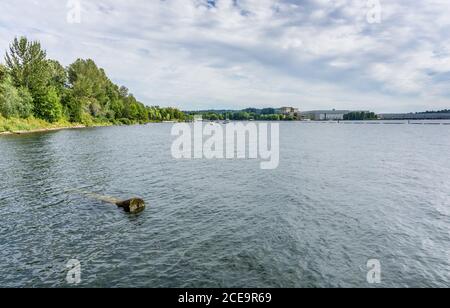 A view of the shoreline at Gene Coulon Park in Renton, Washington. Stock Photo