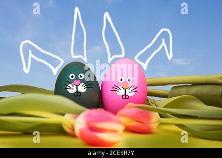 painted Easter eggs with bunny face and blue sky, lying in tulips, easter spring concept Stock Photo