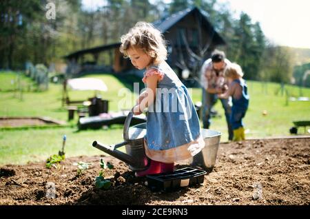 Small girl watering outdoors in garden, sustainable lifestyle concept. Stock Photo