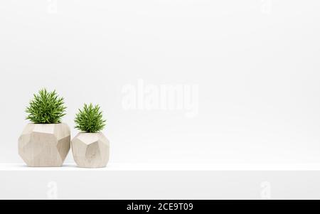 green plants in wooden pots on white shelf Stock Photo
