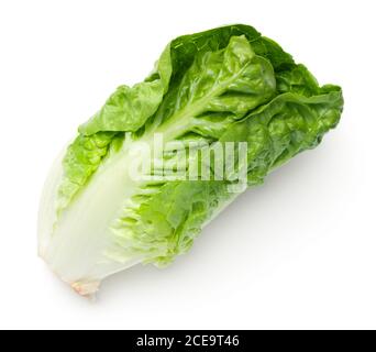 Romaine Lettuce Isolated On White Background Stock Photo