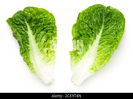 Romaine Lettuce Leaves Isolated On White Background Stock Photo