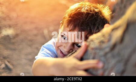 Happy little boy playing in a tree. Stock Photo