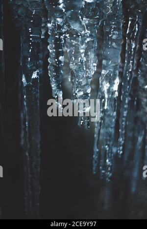 Close-up crystal clear frozen icicles in nature. Stock Photo