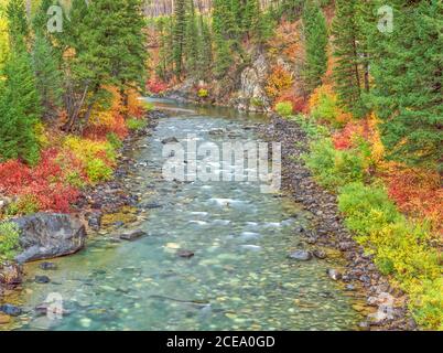 fall colors along the north fork blackfoot river near ovando, montana Stock Photo