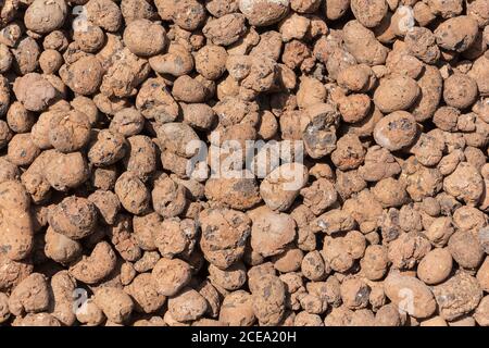 Close up of red haydite as background. Stock Photo