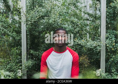 Handsome African-American man standing at bushes Stock Photo