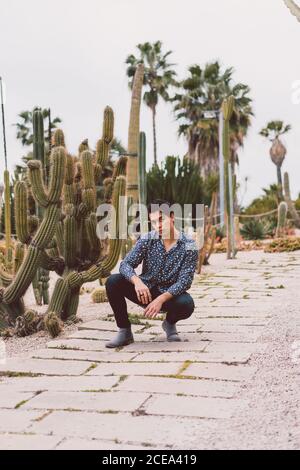 Young man sitting at cactus Stock Photo