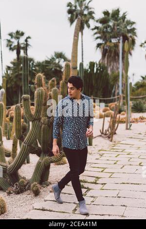 Young man posing at cactus Stock Photo