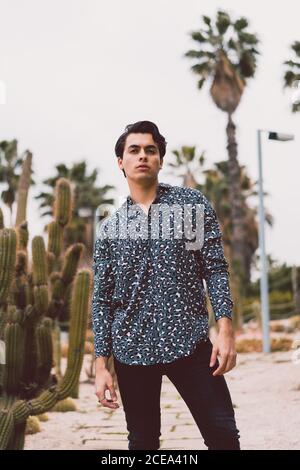 Young man posing at cactus Stock Photo