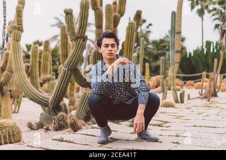 Young man sitting at cactus Stock Photo