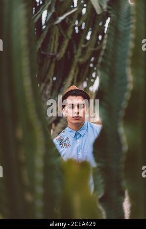 Thoughtful young handsome man at cactus Stock Photo