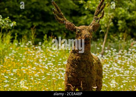 A grass model of a deer made using a metal frame and filling inside with dry garden grass and straw. This realistic model is put among wildflowers as Stock Photo