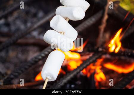 Marshmallows are fried over a fire. Toasted marshmallows on an open fire on a wooden stick. Stock Photo