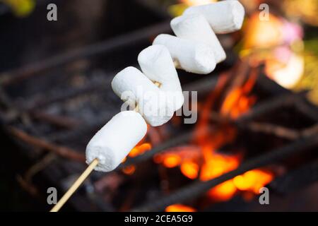 Marshmallows are fried over a fire. Toasted marshmallows on an open fire on a wooden stick. Stock Photo