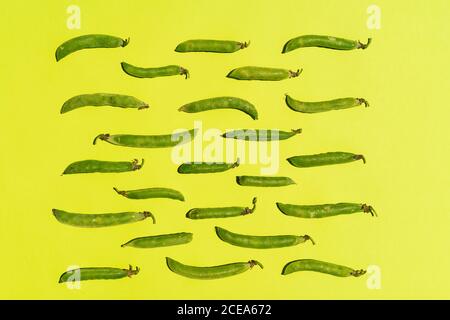 Minimalist creative layout of green pea pods on yellow surface in arrangement Stock Photo