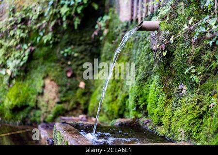 Water spring pouring on rocks near wall with green plants on blurred background Stock Photo