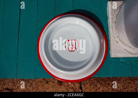 A flat lay image of a water bowl for dogs. It has a cute dog symbol in the middle and some water filling it half. The bowl is placed on a painted wood Stock Photo