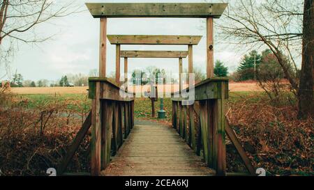 An Old Wooden Bridge Crossing a Small Creek in an Autumn Forest Stock Photo